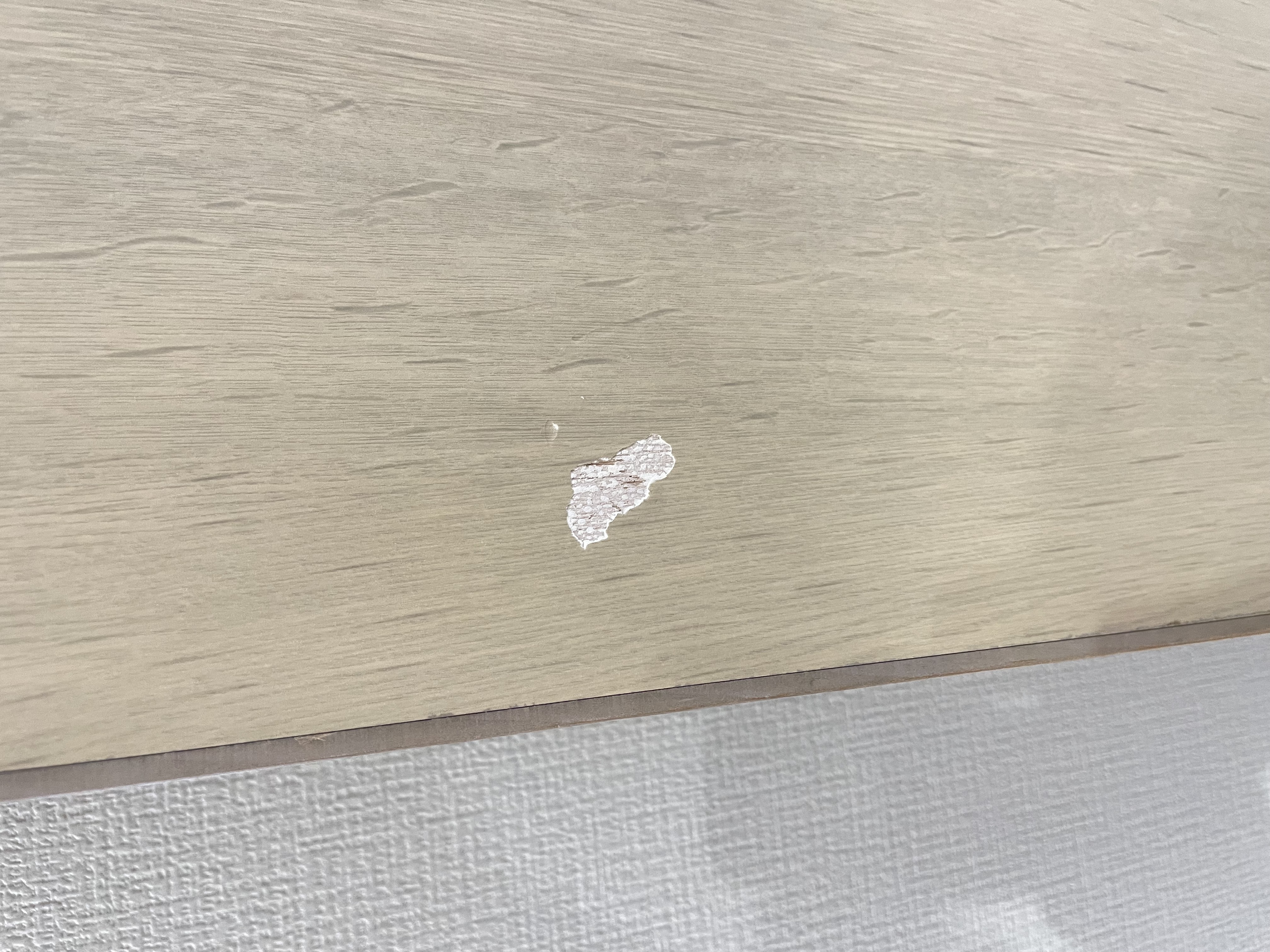 建具ドア補修 施工前